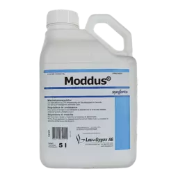 Moddus Leu Gygax - 305678.png