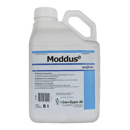 Moddus Leu Gygax - 305678.png