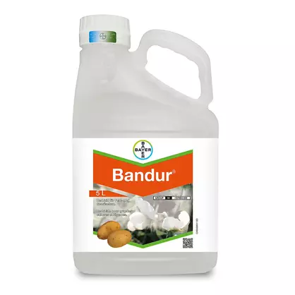 Bandur 5 Liter.jpeg