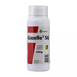 Gazelle-SG_250gr-1-web.jpg