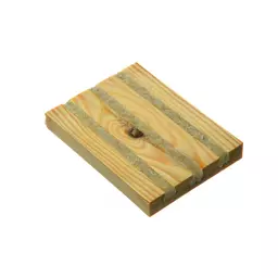 Nematop Käfer-Stopp.jpeg