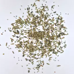 UFA Central HS MS (3).jpg