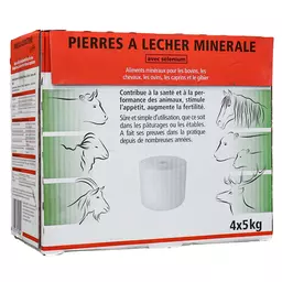 Karton Leckstein quad..jpg