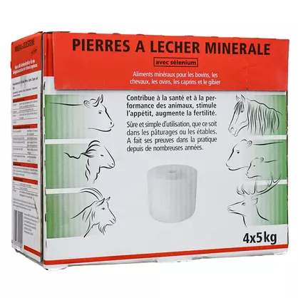 Karton Leckstein quad..jpg