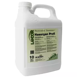 Hasorgan Profi Algen 10l quad..jpg