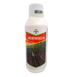 Adengo1.png