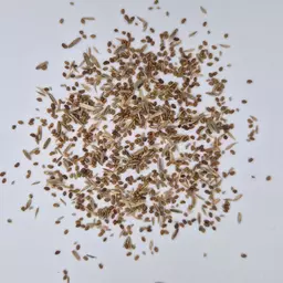 UFA Hervestore Gold (1).jpg