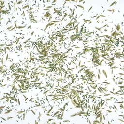 UFA 485 HS_Saatgut.jpg