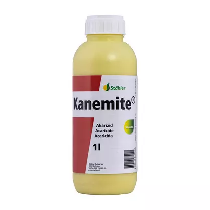 Kanemitte_1lt-1-web.jpg