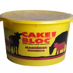 Cake Bloc Magnesium.jpg