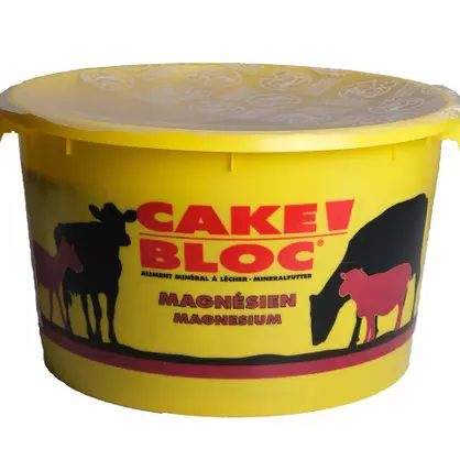 Cake Bloc Magnesium.jpg