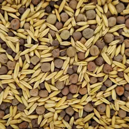 UFA Wick-Hafer-Erbsen-Gemenge (2).jpg