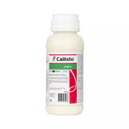 Callisto 1 l Syngenta.jpg