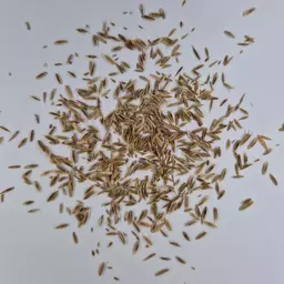 UFA Hühnerauslauf (2).jpg