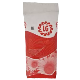 Sonnenblumen Limagrain LG (2).png