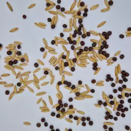 UFA Wick-Hafer Gemenge (2).jpg