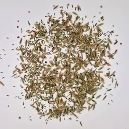 UFA Trockenweide Pastor (2).jpg