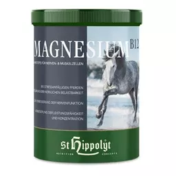 ST. HIPPOLYT Magnesium B12.png