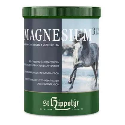 ST. HIPPOLYT Magnesium B12.png