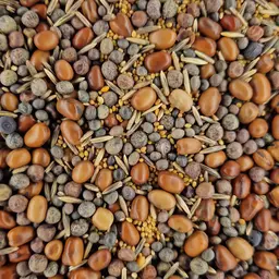 20231109_102117 ufa legu fit.jpg