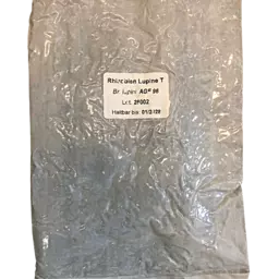 Rhizobien Lupine.png