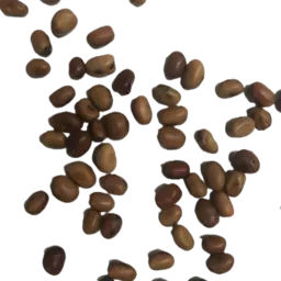 Ackerbohne kleinkörnig.png