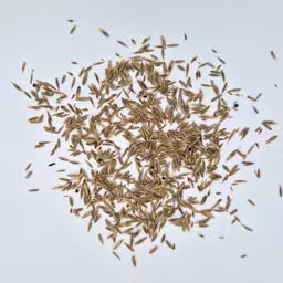 UFA Vertibord Humusiert (4).jpg