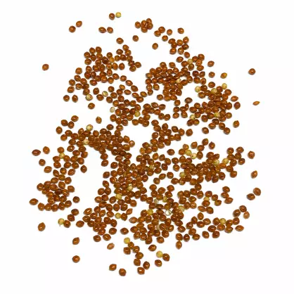 Hirse Saatgut.png