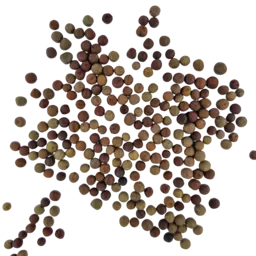 Winterfuttererbsen (1).png