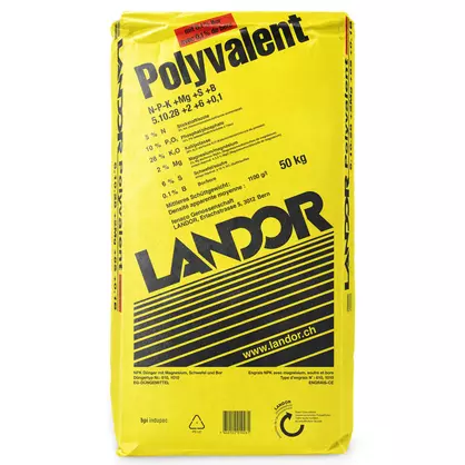 Polyvalent quad..jpg