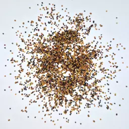 UFA Ceralegu (2).jpg