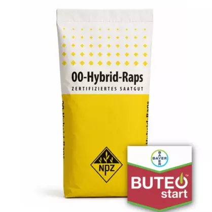 NPZ Raps Sack Buteo Start.png