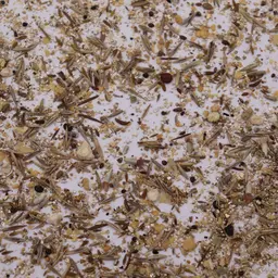 Obstbau Blühmischung Fahrgasse CH-G.JPG