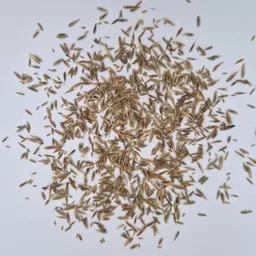 UFA Mulch Mischung trocken (2).jpg