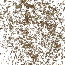 UFA 323 GOLD (2).png