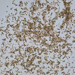 UFA 320 GOLD (2).jpg