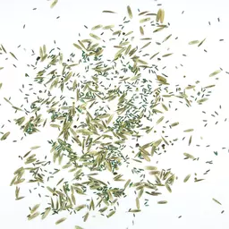 UFA 440 AR HS_Saatgut.jpg