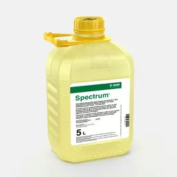 Spectrum_58057969_CH.jpg