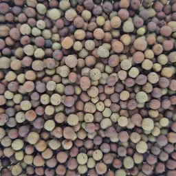 Winterfuttererbsen (2).jpg