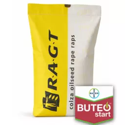 RAGT Buteo Start.png