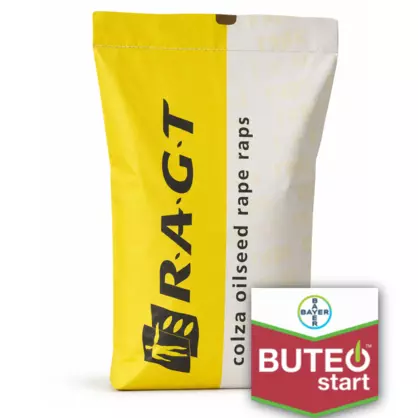 RAGT Buteo Start.png