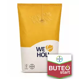 HOLL Raps Buteo Start.png