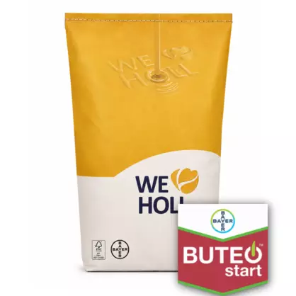HOLL Raps Buteo Start.png