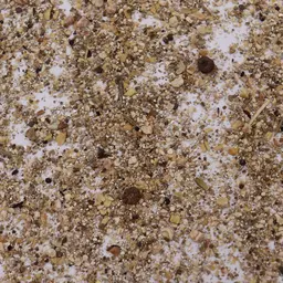 Obstbau Blühmischung Blütensaum CH-G.JPG