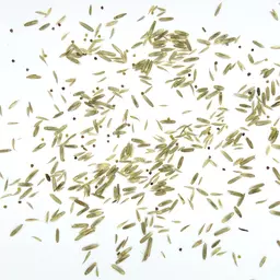 UFA Maisfix_Saatgut.jpg