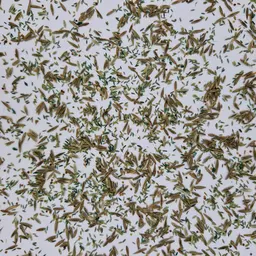 UFA 462 AR HS (3).jpg