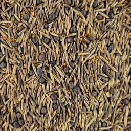 20231109_101900 ufa trias.jpg