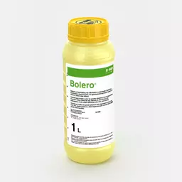 BOLERO_58004987_CH.jpg