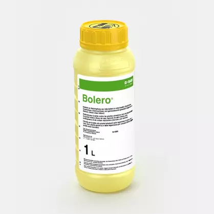 BOLERO_58004987_CH.jpg