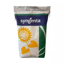 tournesol syngenta.png